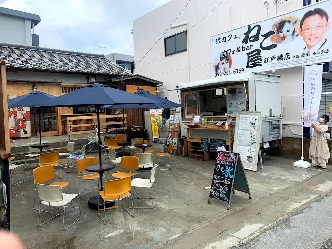 保護ねこカフェ『ねこ屋』